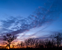 Sunset, Winter, Treeline, 190328